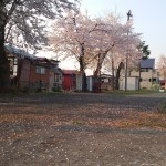 2014-04-25-17.26.361.jpg